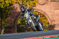 Lower Group Silver_Grey Bikes